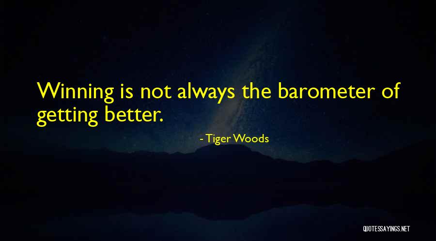 Rheintaler Quotes By Tiger Woods Rheintaler Quotes By Tiger Woods
