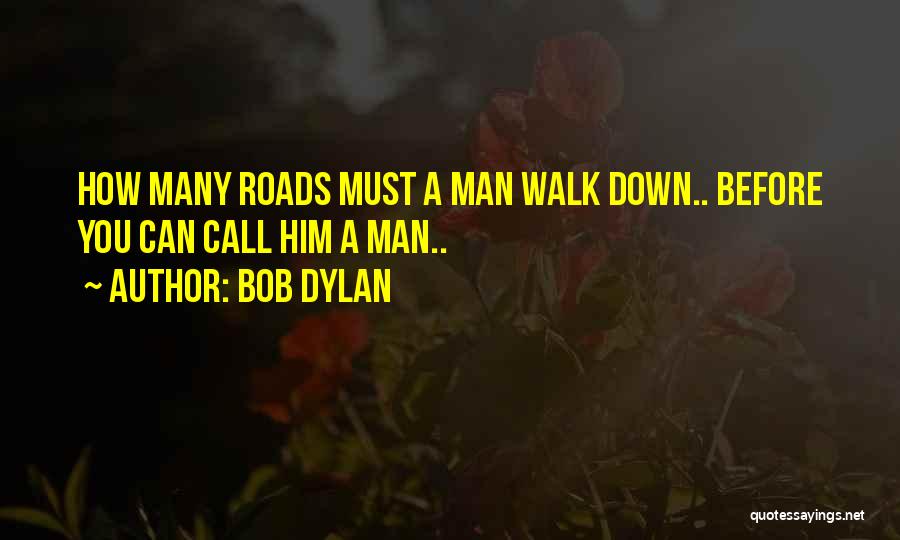 Rhetorical Question Quotes By Bob Dylan