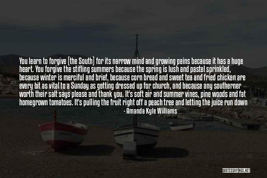 Rhett To Scarlett Quotes By Amanda Kyle Williams Rhett To Scarlett Quotes By Amanda Kyle Williams