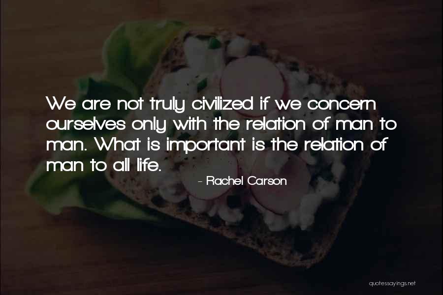 Rheumatisms Quotes By Rachel Carson Rheumatisms Quotes By Rachel Carson