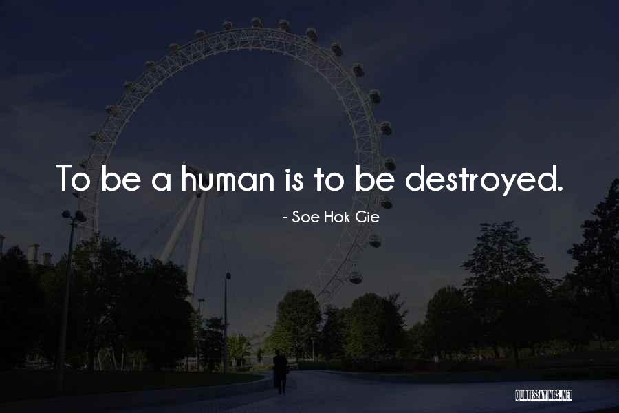 Rheumatologists Quotes By Soe Hok Gie Rheumatologists Quotes By Soe Hok Gie