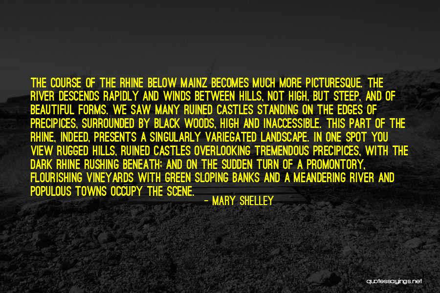 Rhine Quotes By Mary Shelley Rhine Quotes By Mary Shelley