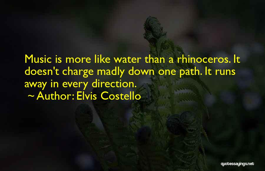 Rhinoceros Quotes By Elvis Costello