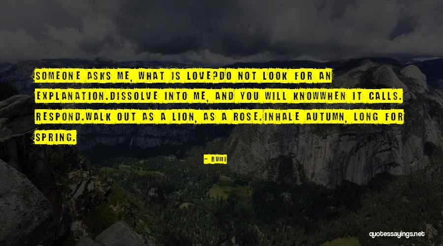 Rhizomes Quotes By Rumi Rhizomes Quotes By Rumi
