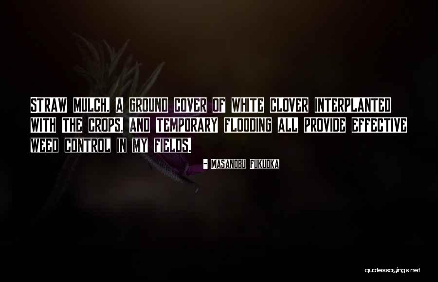 Rhodiola Rosea Quotes By Masanobu Fukuoka Rhodiola Rosea Quotes By Masanobu Fukuoka
