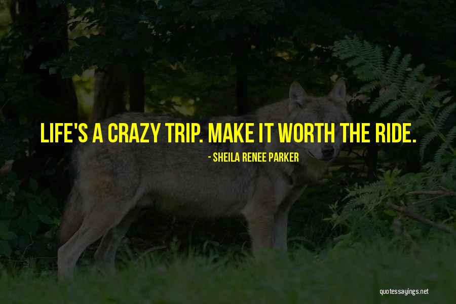 Rhododendrons In Winter Quotes By Sheila Renee Parker Rhododendrons In Winter Quotes By Sheila Renee Parker