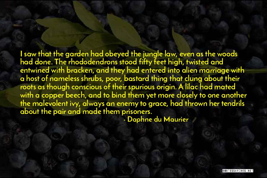 Rhododendrons Quotes By Daphne Du Maurier Rhododendrons Quotes By Daphne Du Maurier