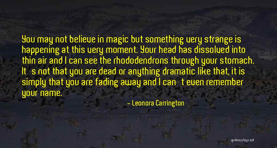 Rhododendrons Quotes By Leonora Carrington Rhododendrons Quotes By Leonora Carrington
