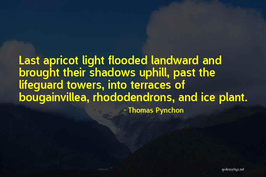 Rhododendrons Quotes By Thomas Pynchon Rhododendrons Quotes By Thomas Pynchon