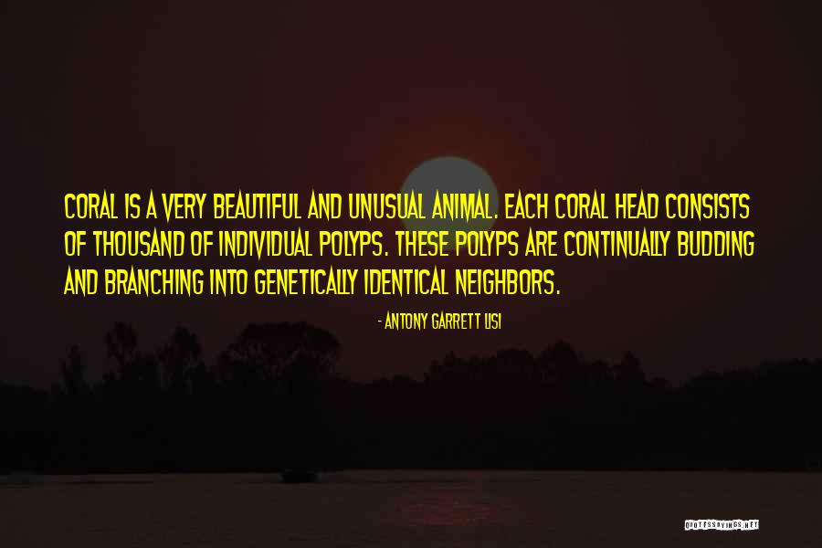 Rhomboid Flap Quotes By Antony Garrett Lisi Rhomboid Flap Quotes By Antony Garrett Lisi