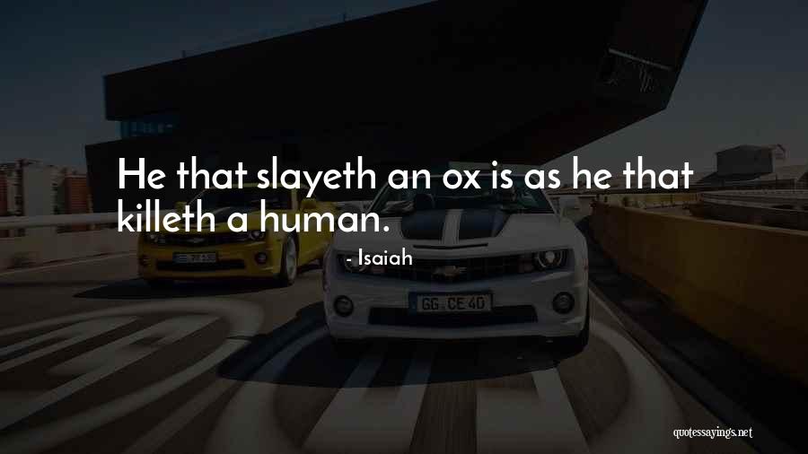 Rhotenberry Wellen Quotes By Isaiah
