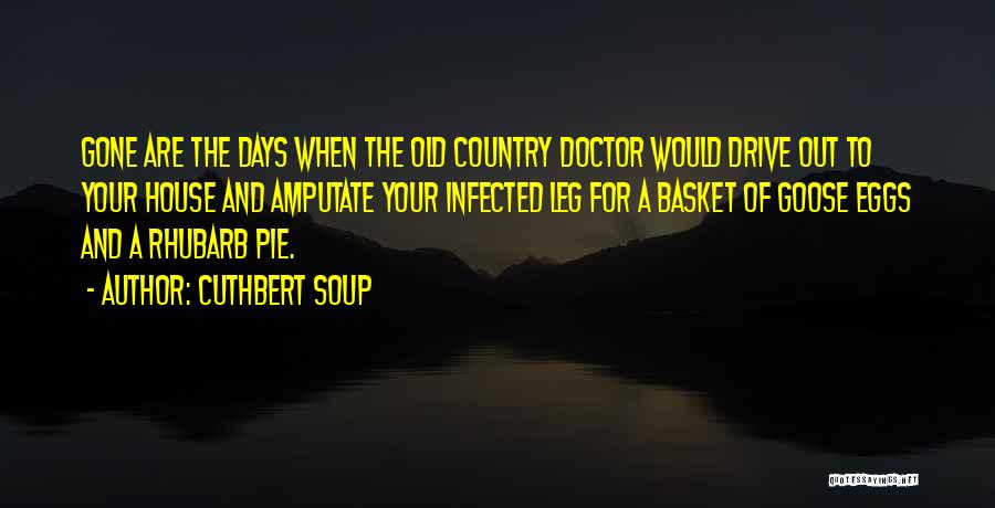 Rhubarb Pie Quotes By Cuthbert Soup