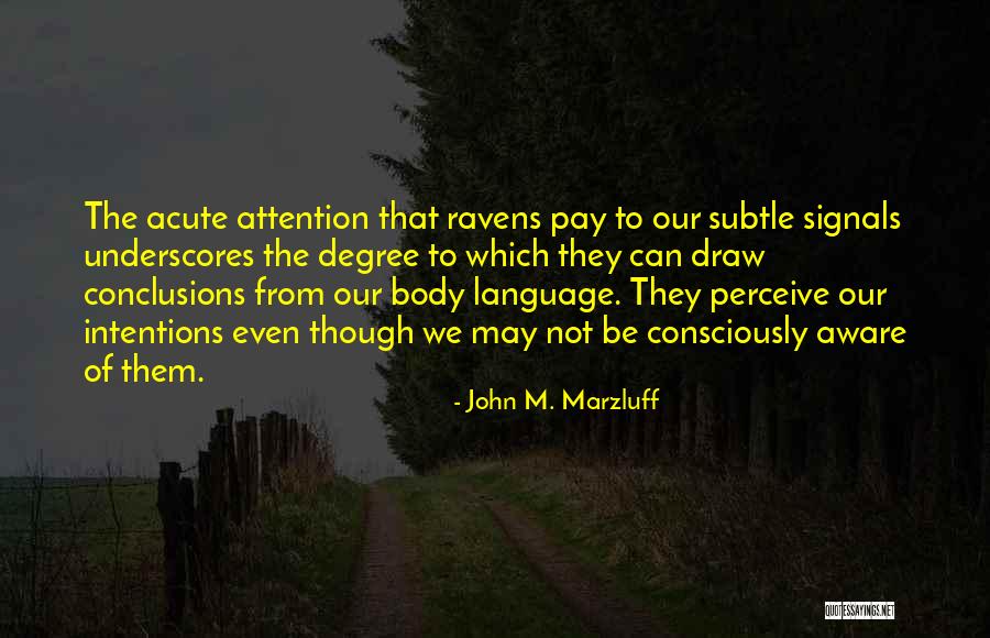 Rhyan Finch Quotes By John M. Marzluff Rhyan Finch Quotes By John M. Marzluff