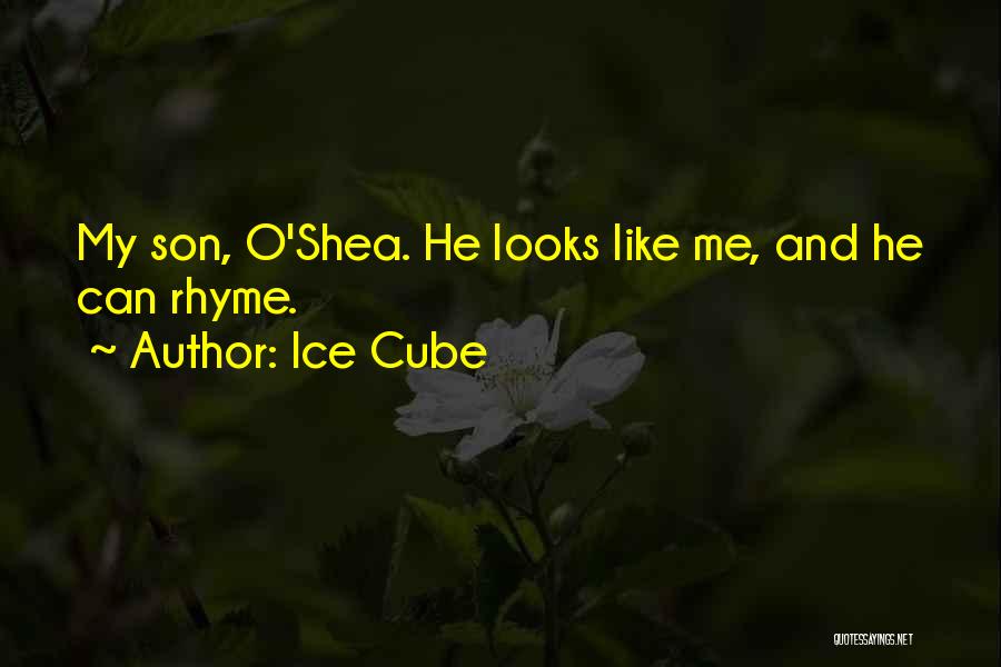 Rhyme Quotes By Ice Cube