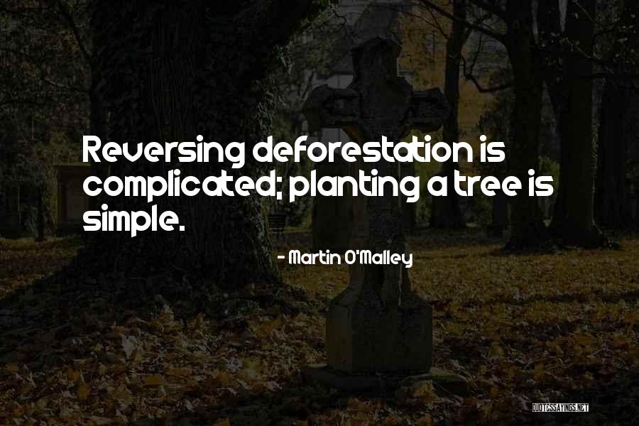 Rhyming Dictionary Quotes By Martin O'Malley Rhyming Dictionary Quotes By Martin O'Malley