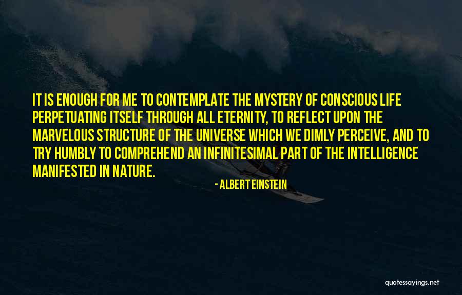 Rhyniella Quotes By Albert Einstein Rhyniella Quotes By Albert Einstein