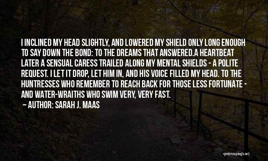 Rhysand Quotes By Sarah J. Maas