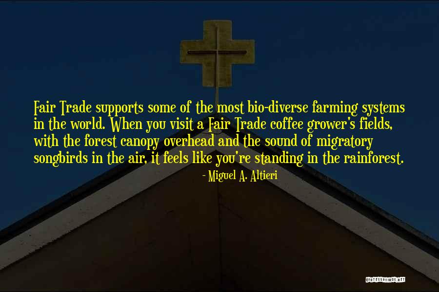 Rhysers Quotes By Miguel A. Altieri Rhysers Quotes By Miguel A. Altieri