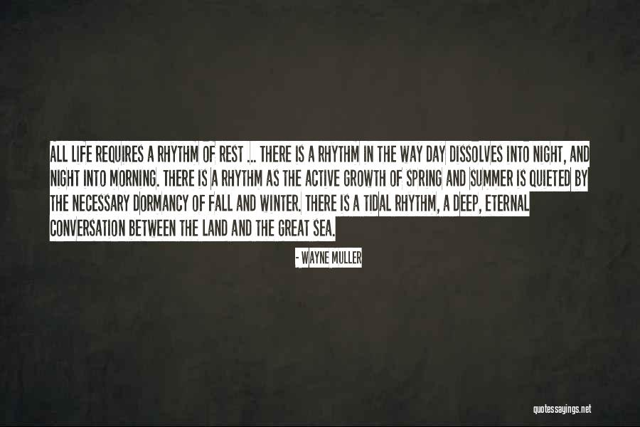 Rhythm Of Rest Quotes By Wayne Muller Rhythm Of Rest Quotes By Wayne Muller