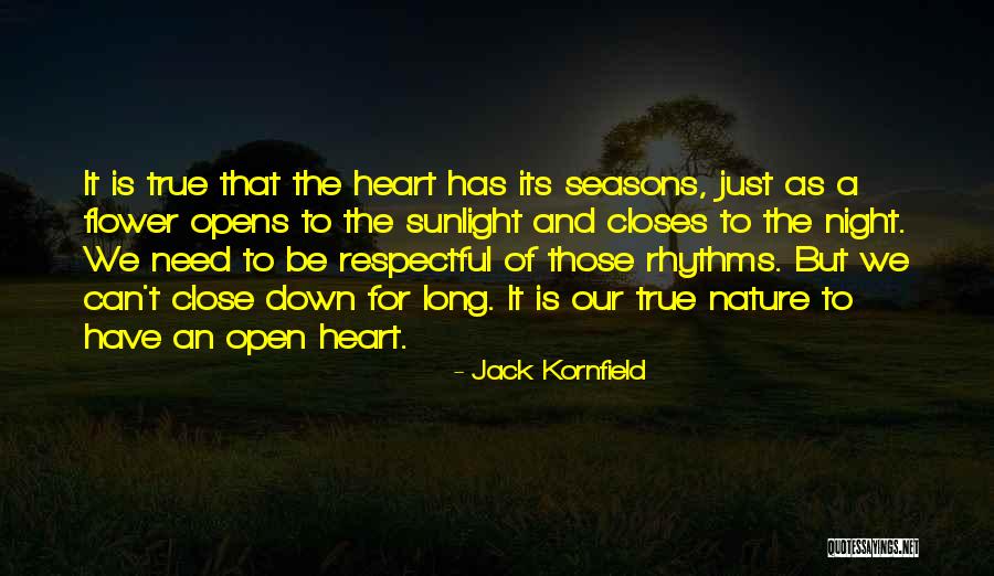 Rhythms Of The Night Quotes By Jack Kornfield Rhythms Of The Night Quotes By Jack Kornfield
