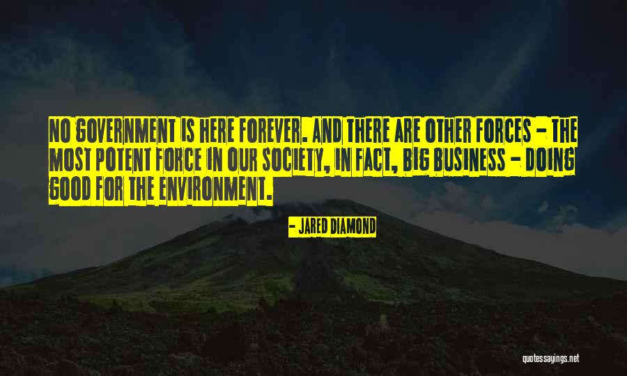 Riacho Tintas Quotes By Jared Diamond