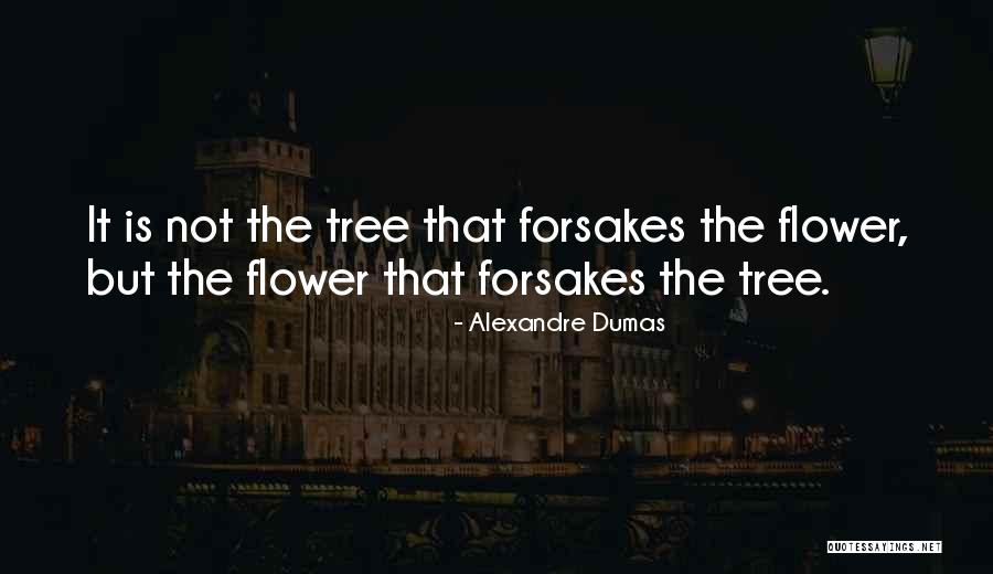 Riadh Dridi Quotes By Alexandre Dumas Riadh Dridi Quotes By Alexandre Dumas