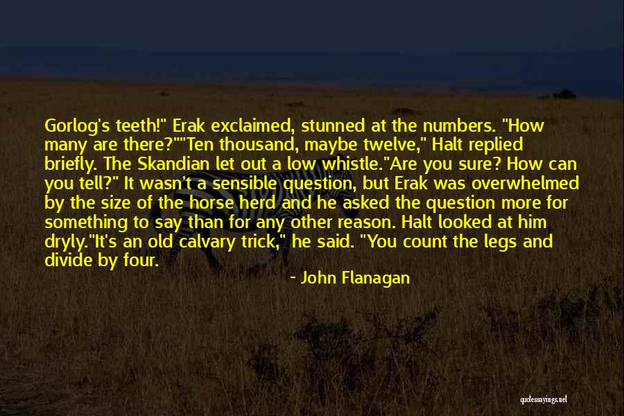Riagesic Quotes By John Flanagan Riagesic Quotes By John Flanagan