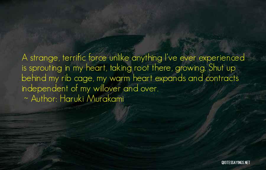 Rib Cage Quotes By Haruki Murakami