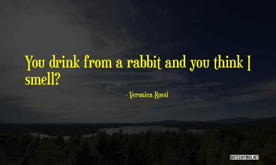 Ribault Club Quotes By Veronica Rossi Ribault Club Quotes By Veronica Rossi