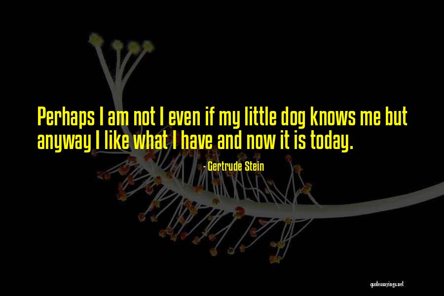 Ribbies Restaurant Quotes By Gertrude Stein Ribbies Restaurant Quotes By Gertrude Stein