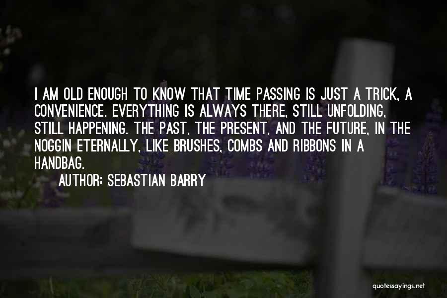 Ribbons Quotes By Sebastian Barry