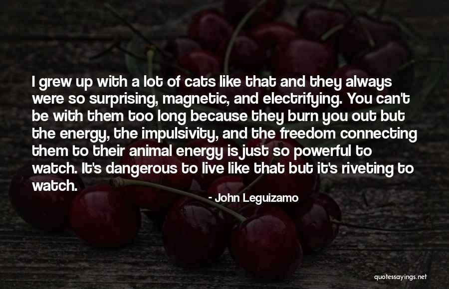 Ribelle Brookline Quotes By John Leguizamo Ribelle Brookline Quotes By John Leguizamo