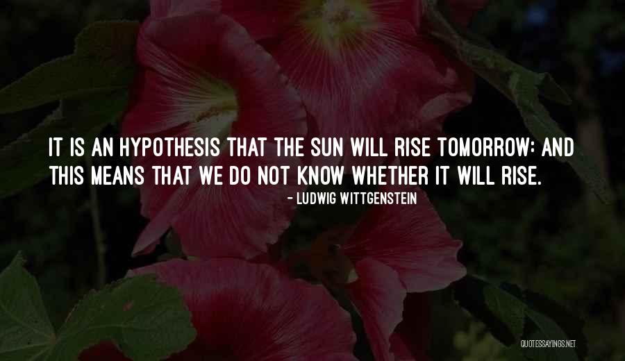Ribowsky Method Quotes By Ludwig Wittgenstein Ribowsky Method Quotes By Ludwig Wittgenstein
