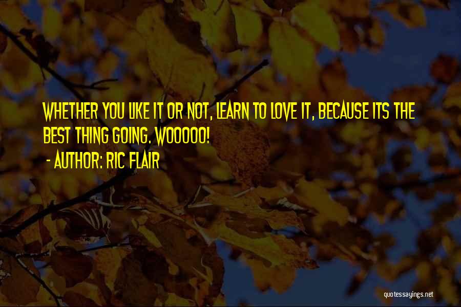 Ric Flair Quotes 998147