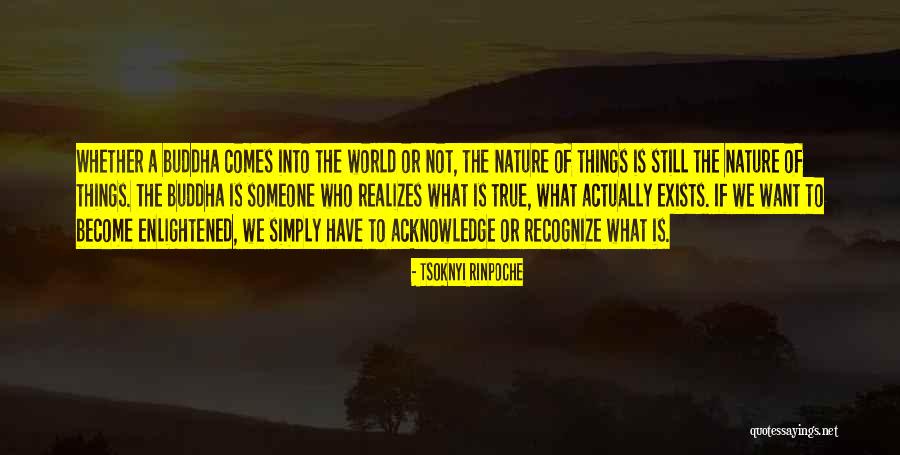 Ricafrente Name Quotes By Tsoknyi Rinpoche Ricafrente Name Quotes By Tsoknyi Rinpoche