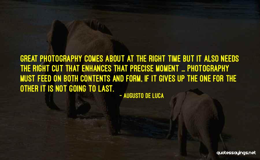 Ricardas Quotes By Augusto De Luca Ricardas Quotes By Augusto De Luca