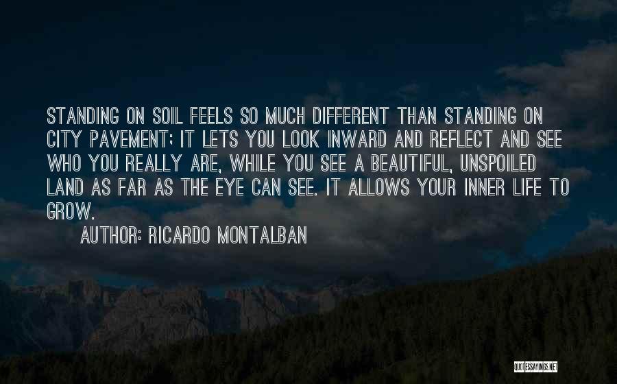 Ricardo Montalban Quotes 1511473