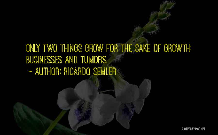 Ricardo Quotes By Ricardo Semler