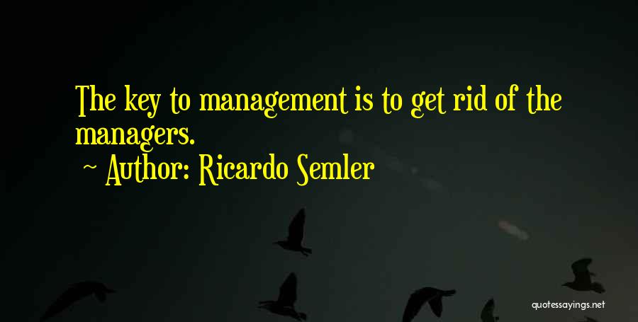 Ricardo Quotes By Ricardo Semler