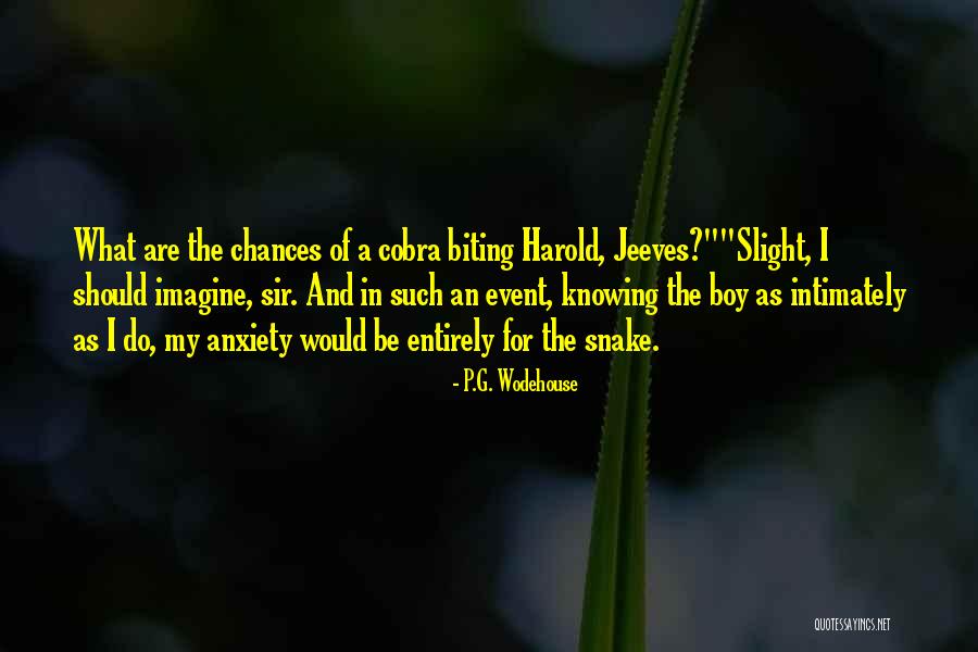 Riccardo Mandolini Quotes By P.G. Wodehouse Riccardo Mandolini Quotes By P.G. Wodehouse