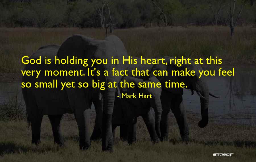 Ricciarelli Almond Quotes By Mark Hart Ricciarelli Almond Quotes By Mark Hart