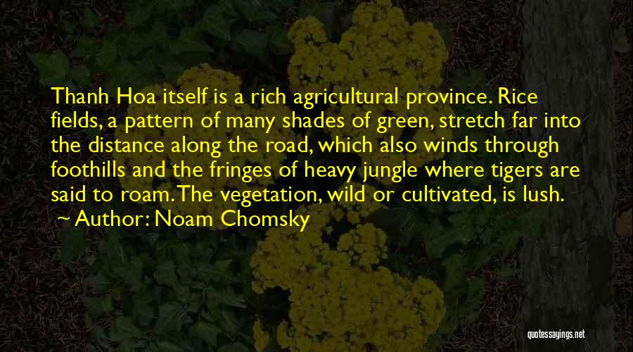 Rice Fields Quotes By Noam Chomsky