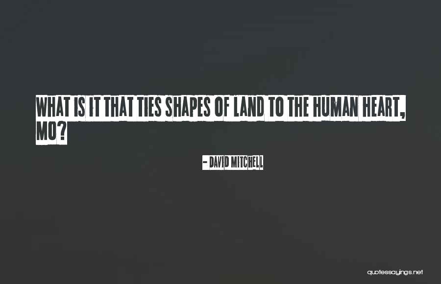 Ricevimento Significato Quotes By David Mitchell