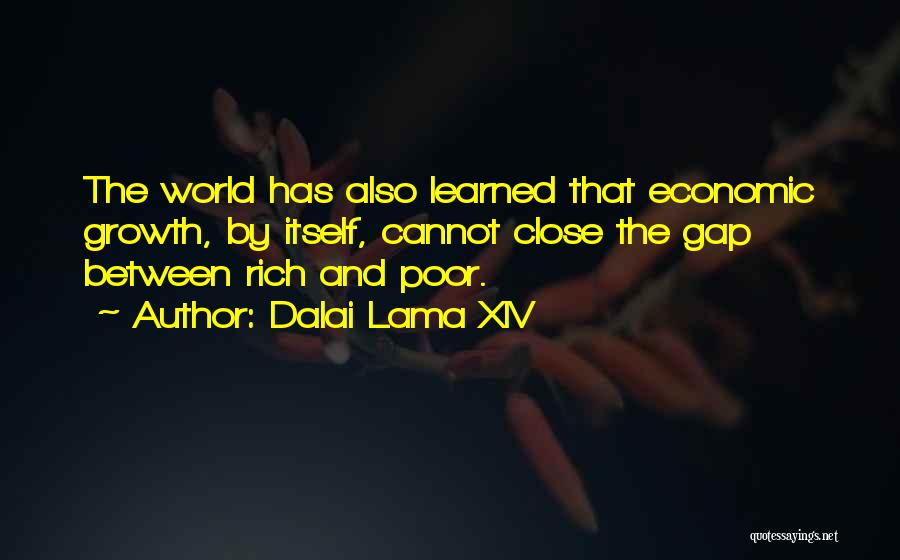 Rich And Poor Gap Quotes By Dalai Lama XIV