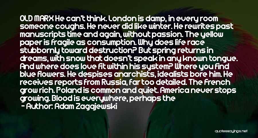 Rich And Poor Love Quotes By Adam Zagajewski