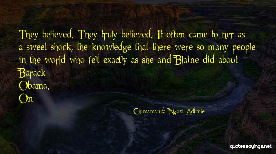 Rich Hardbeck Skins Quotes By Chimamanda Ngozi Adichie Rich Hardbeck Skins Quotes By Chimamanda Ngozi Adichie