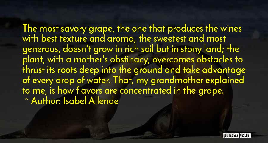 Rich Soil Quotes By Isabel Allende