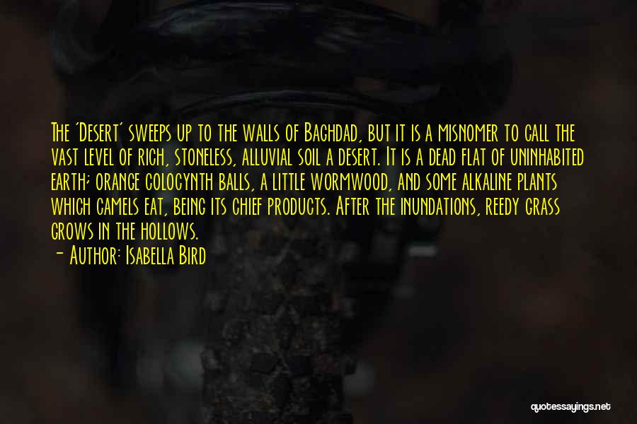 Rich Soil Quotes By Isabella Bird