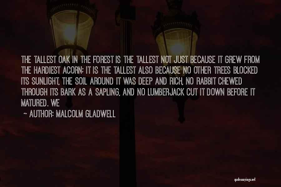 Rich Soil Quotes By Malcolm Gladwell