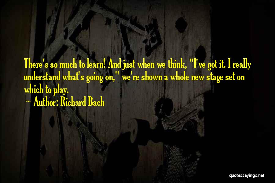 Richard 3 Play Quotes By Richard Bach